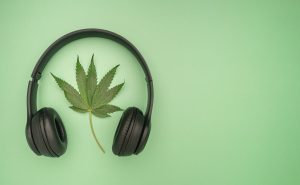 For a chill smoke sesh, it’s best to start your playlist with an easy opening track that flows well with the ambience and environment.